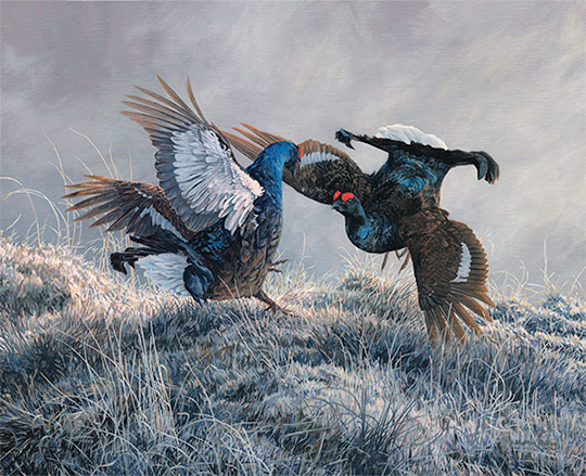 Wildlife paintings clearance